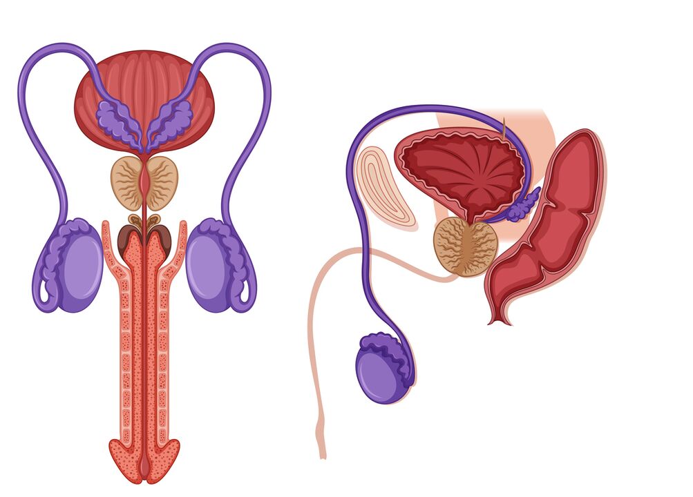 prostatitis en hombres